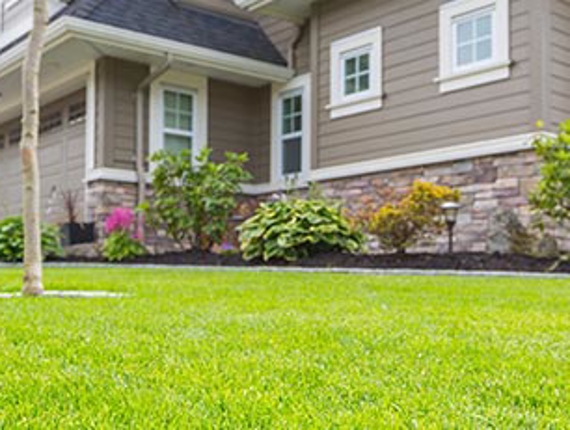 Selecting a Roofing Material Photo