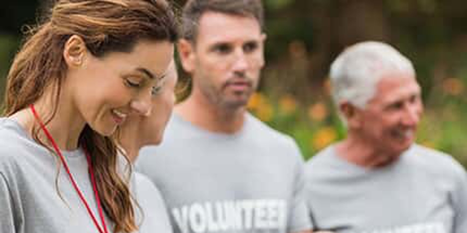Wellness Health Program